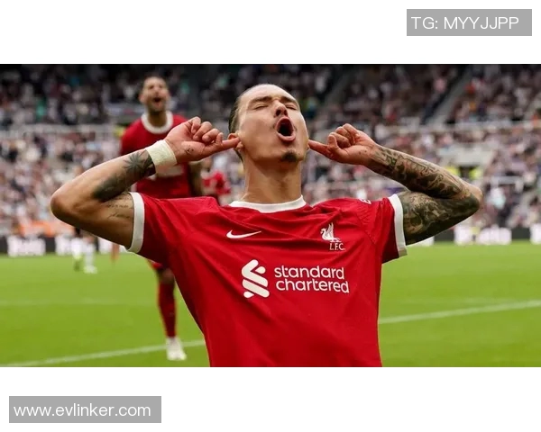 努涅斯在赛场上的崛起与挑战:从新星到足球巨星的成长之路